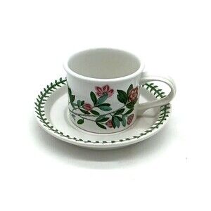 Portmeirion Botanic Garden Rhododendrum Drum Cup & Saucer Old Mark 1972